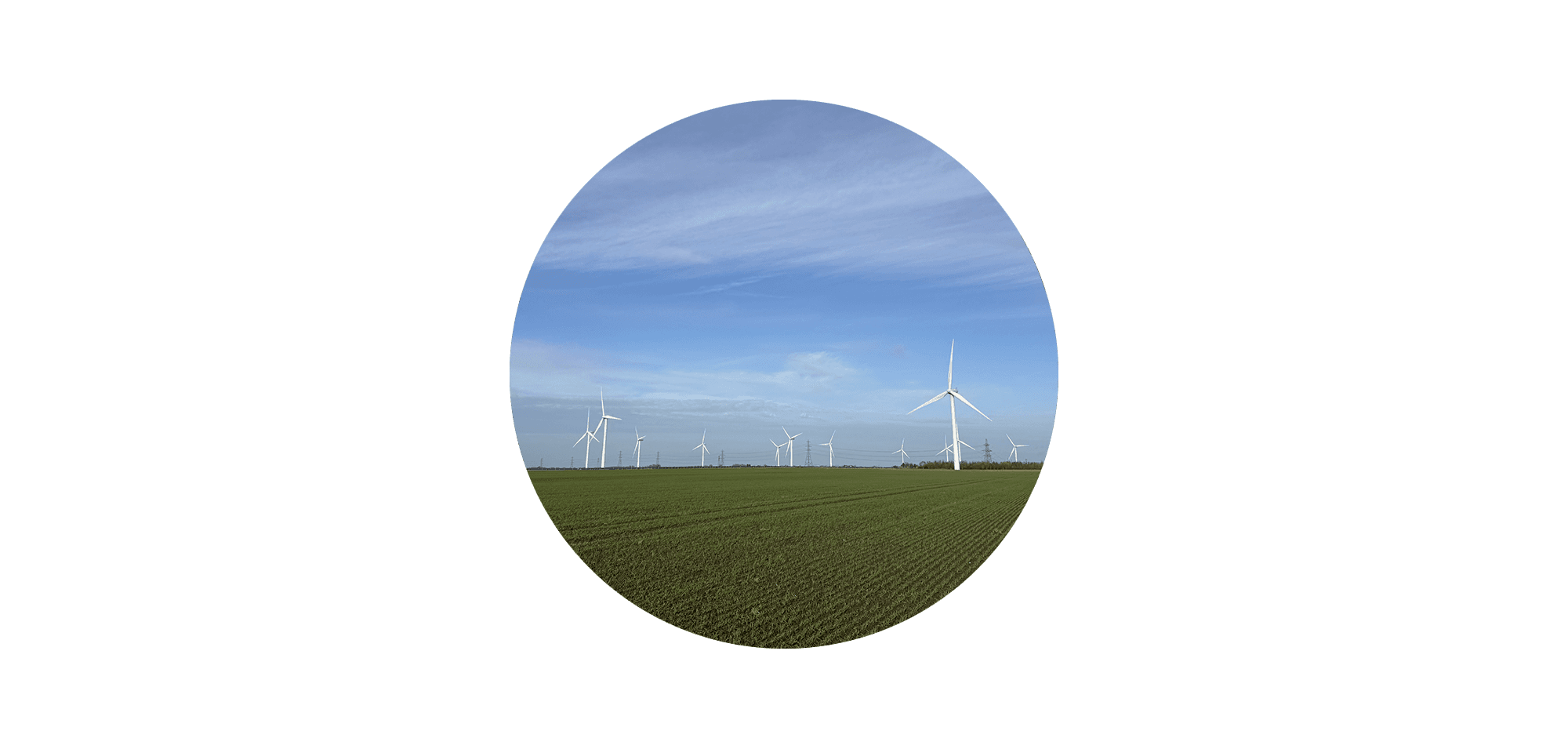 A flat fenland field with rows of wind turbines stretching across the horizon under a blue sky, displayed in a circular crop against a black background.