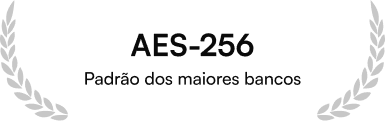 Criptografia AES-256 dos maiores bancos protege finanças no Visor