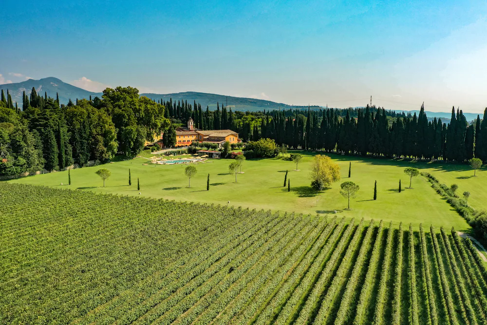 Culinary & Wine Tours in Italy