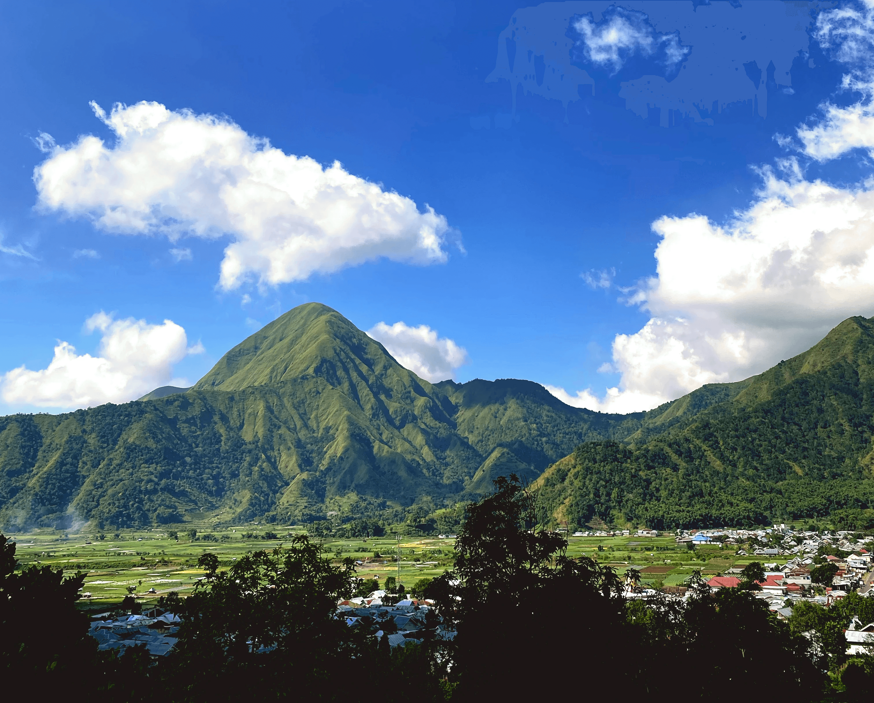 Perfume bottle held in hand