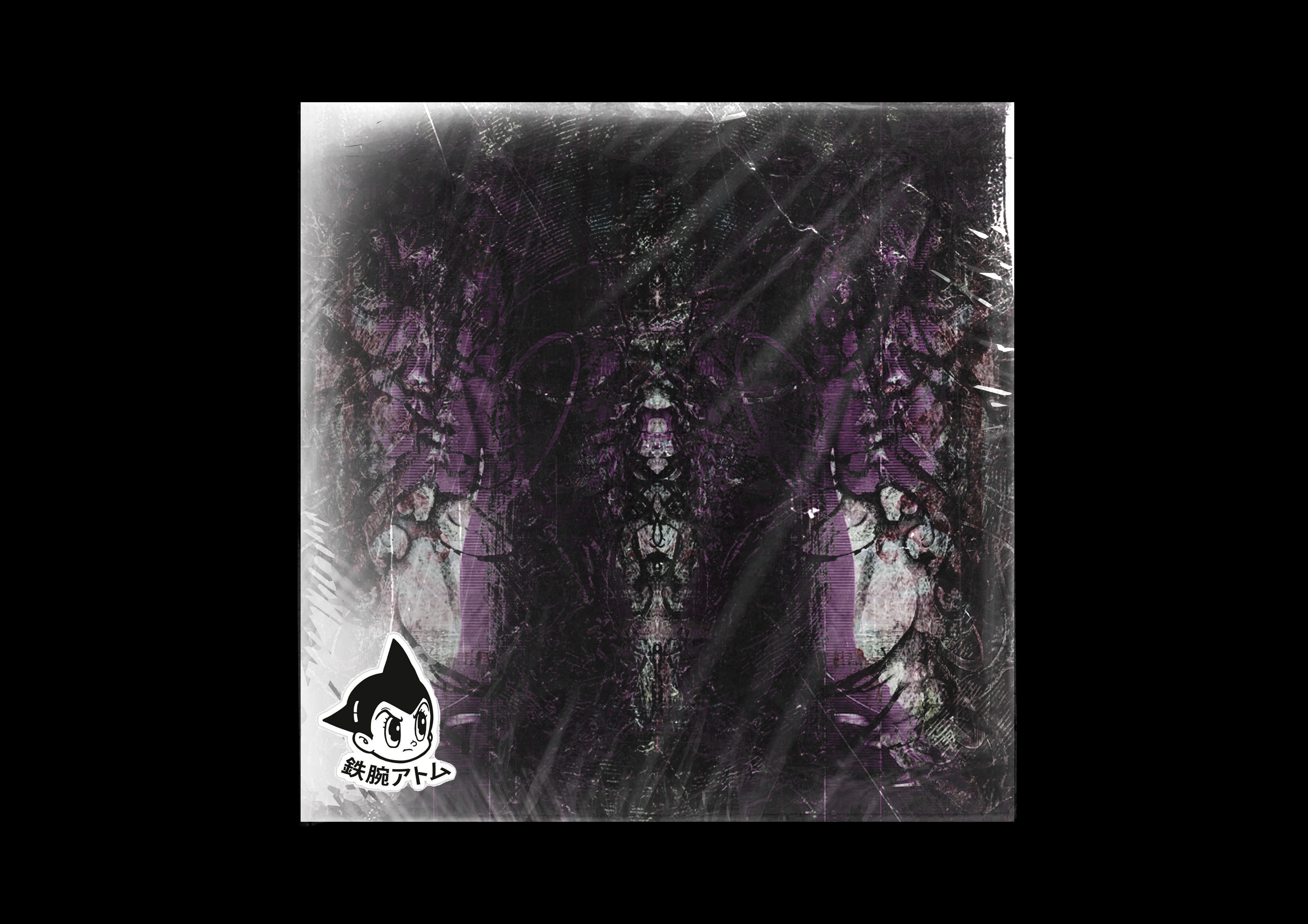 C1 Vinyl Cover