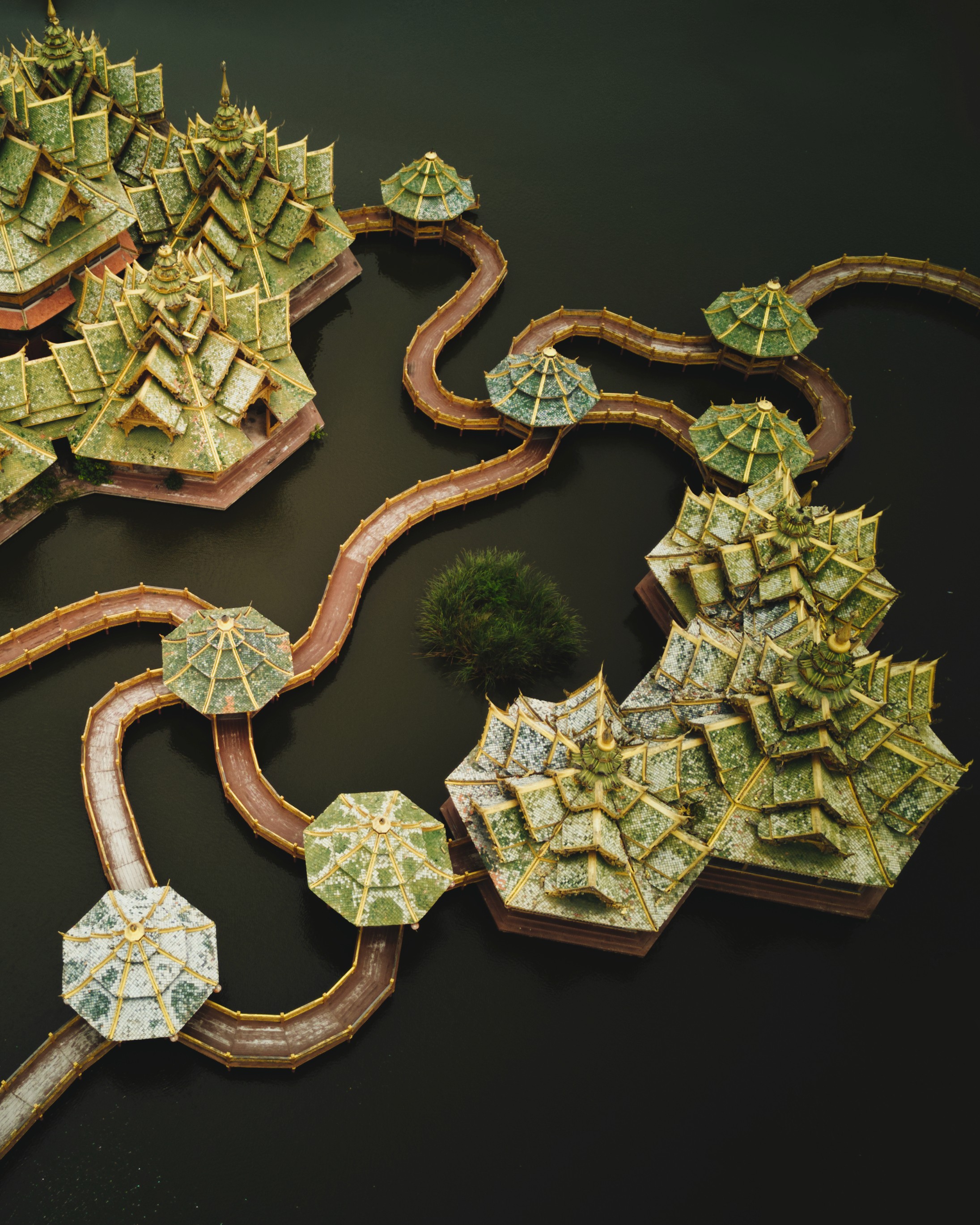 Women On Neon Background