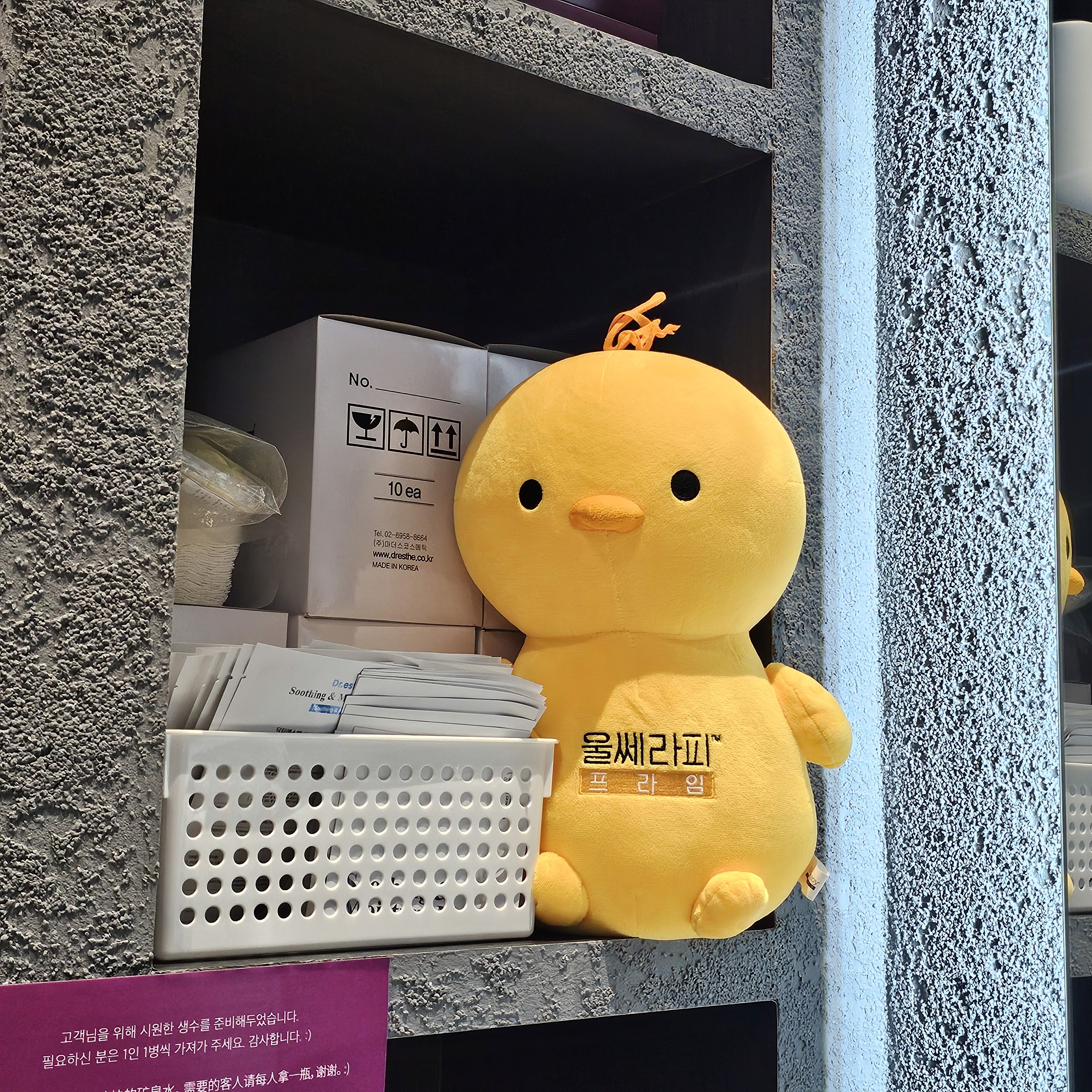 울쎄라피프라임인형 뷰티스톤의원