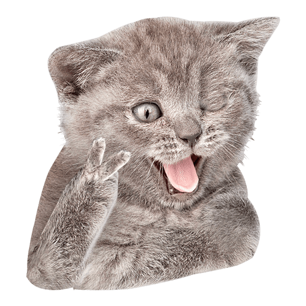 happy golden retriever dog