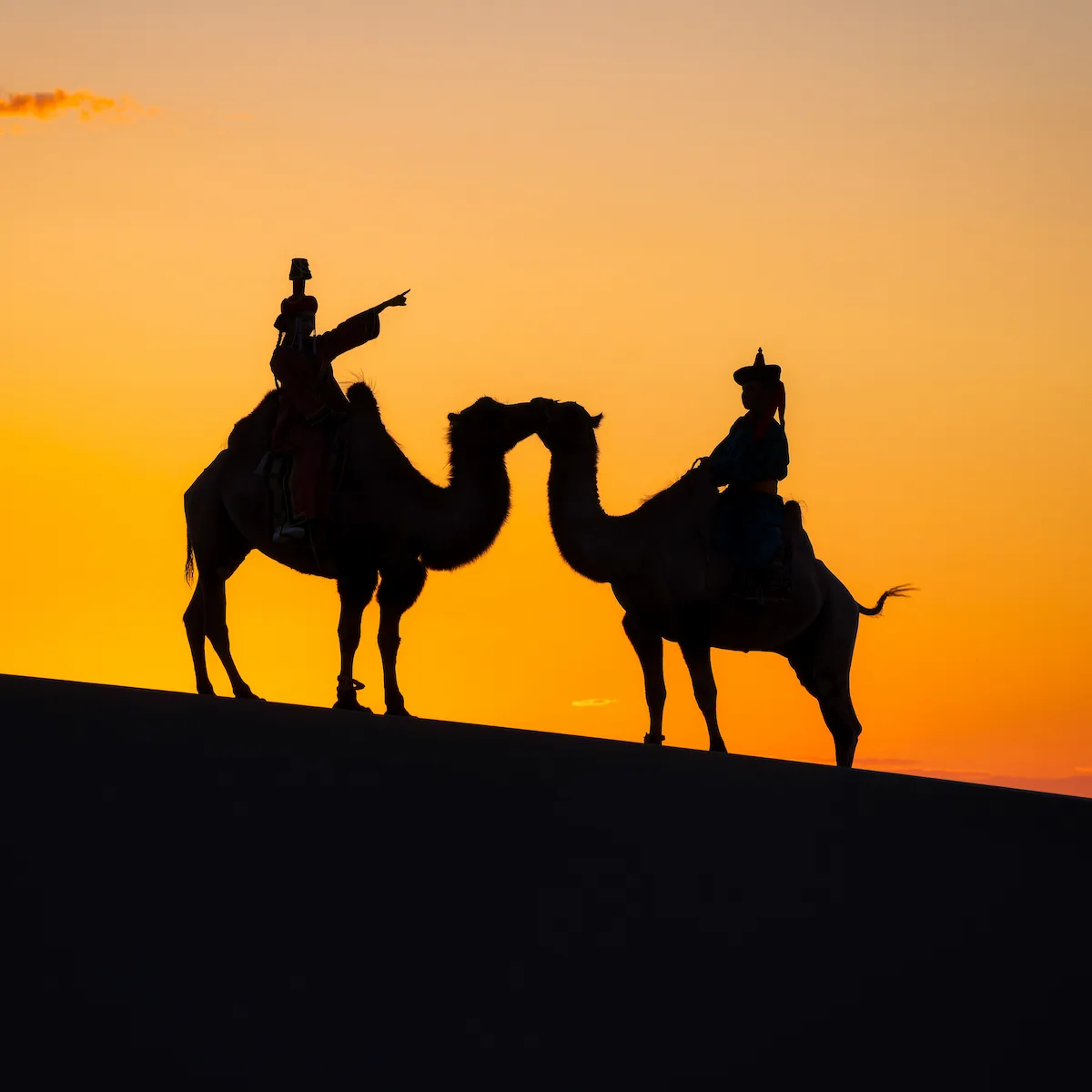 Camellos co sus pastores en el desierto del Gobi, Mongolia