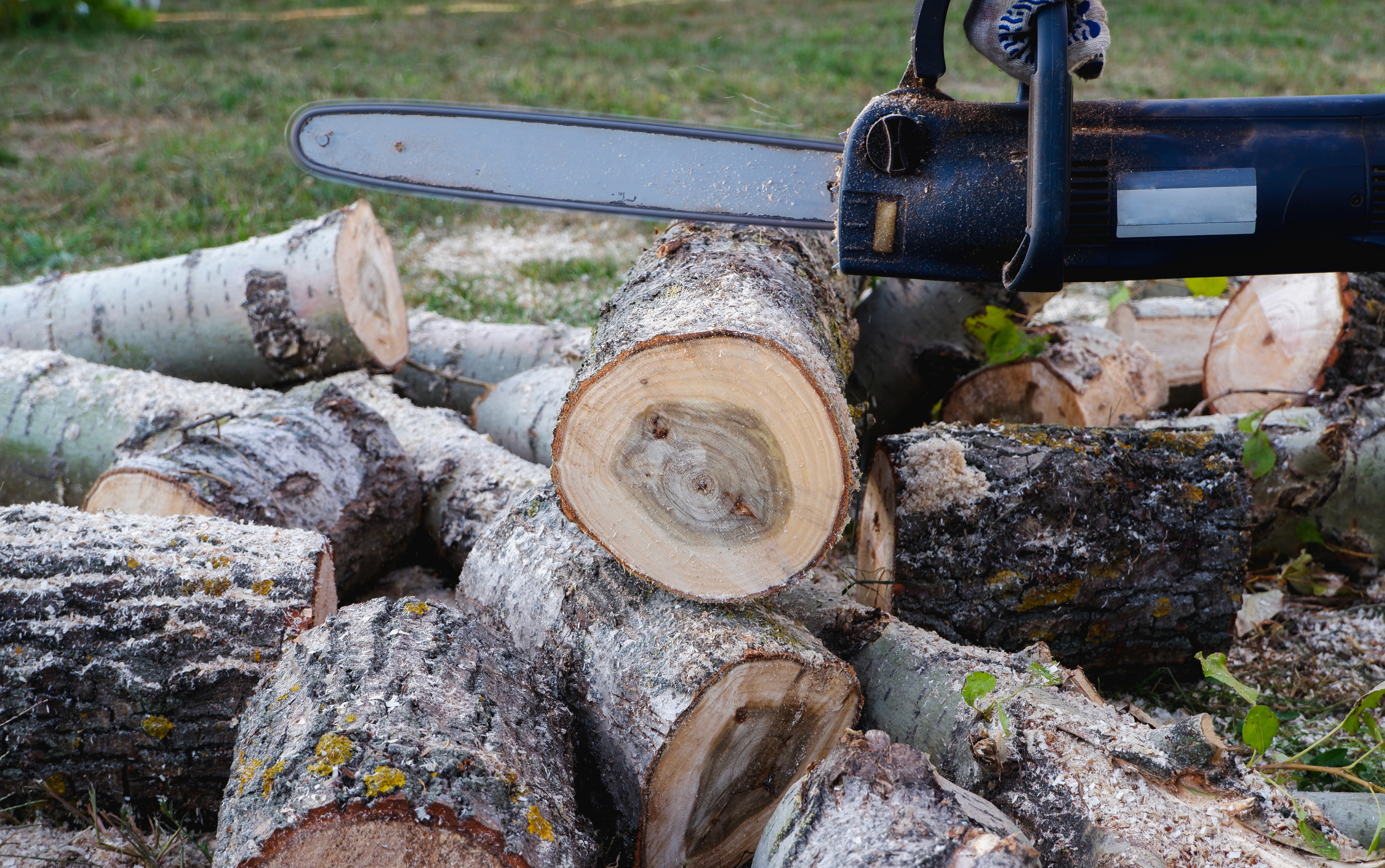 現代幼兒園室內設計，淺木色洞洞板牆身配搭綠色地景造型活動區及人體工學椅。The modern kindergarten interior design features light wood-colored pegboard walls paired with green landscape-style activity areas and ergonomic chairs.