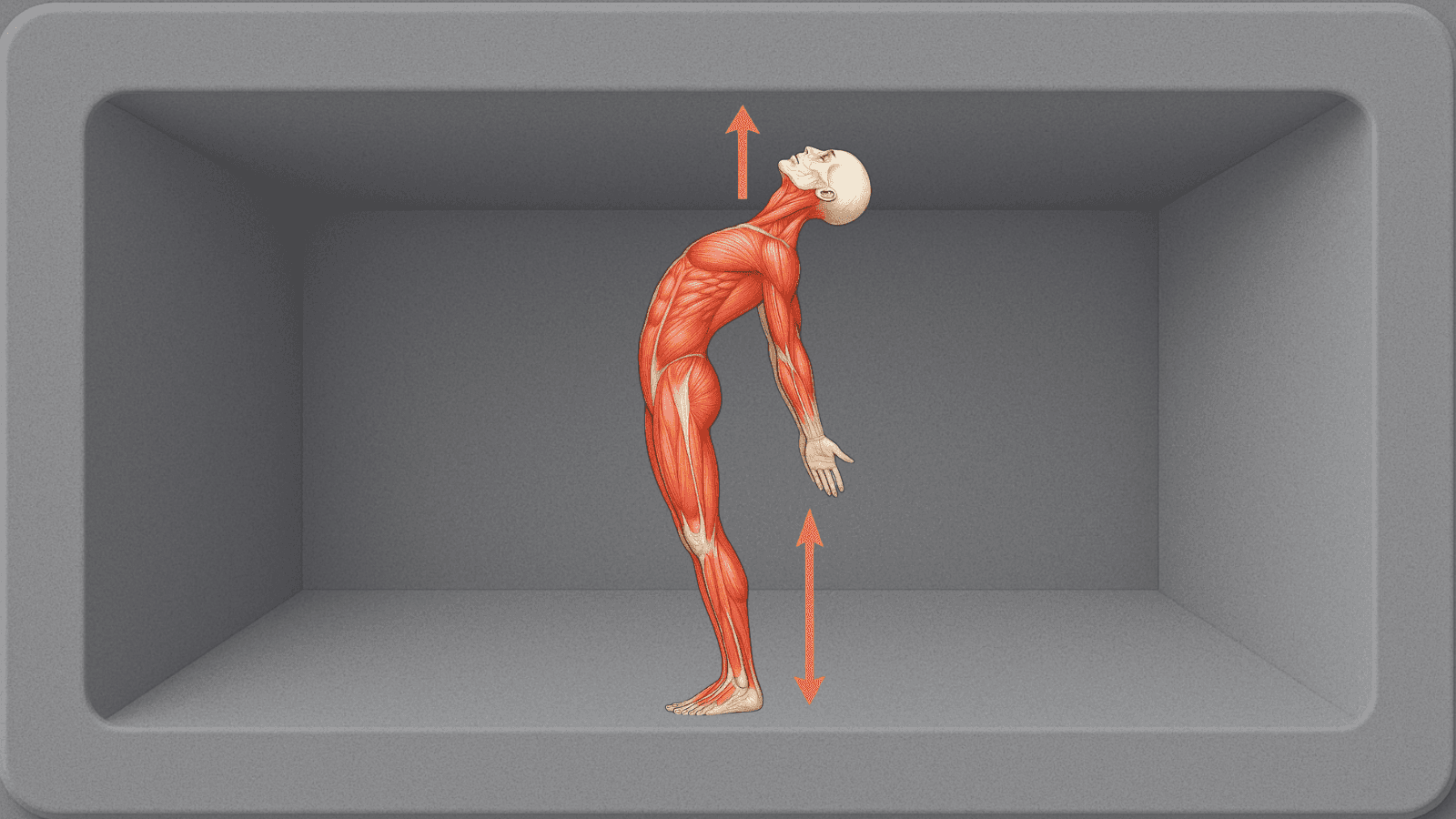 ARCII - OPEN Piktoram body®evolution