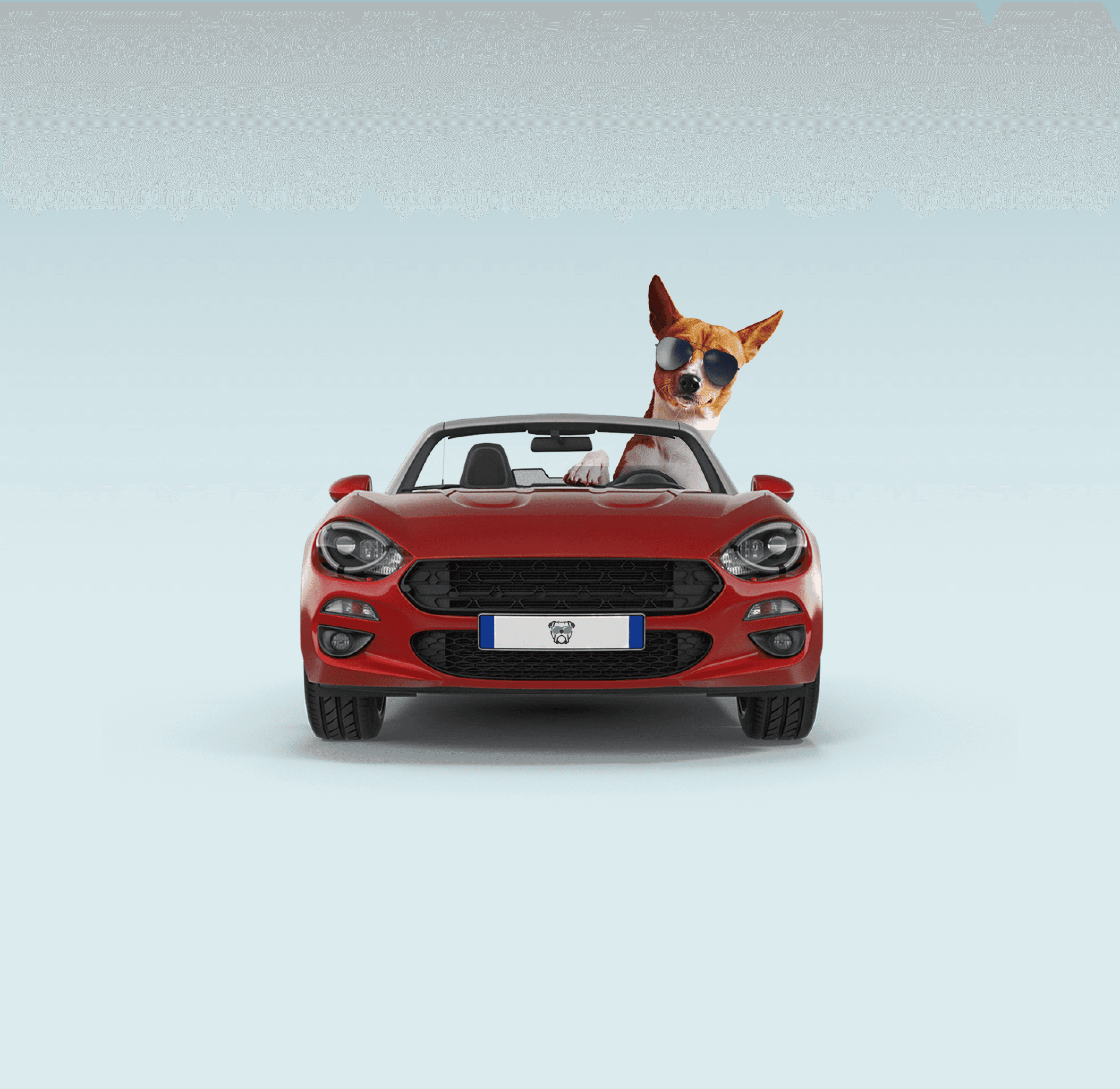 A dog wearing round sunglasses sitting in the driver's seat of a red convertible, shot front-on against a light grey background, with a Cool Dog branded license plate