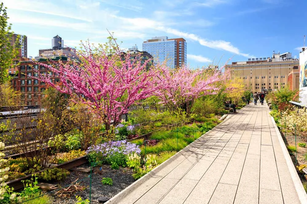 The-High-Line-Manhattan-New-York