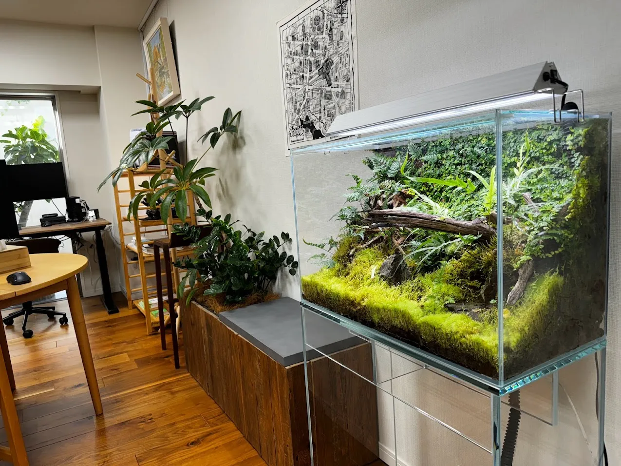 オフィス空間の一角に設置されたガラス水槽で、苔と流木を中心に構成された陸上植物主体のレイアウト水槽