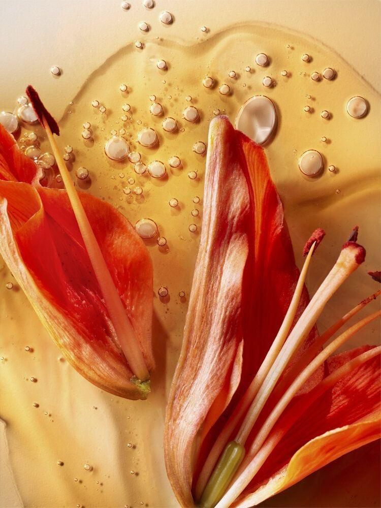 daily women’s supplement women’s hormone wellness