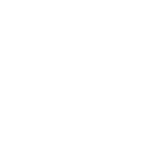 Social Icon