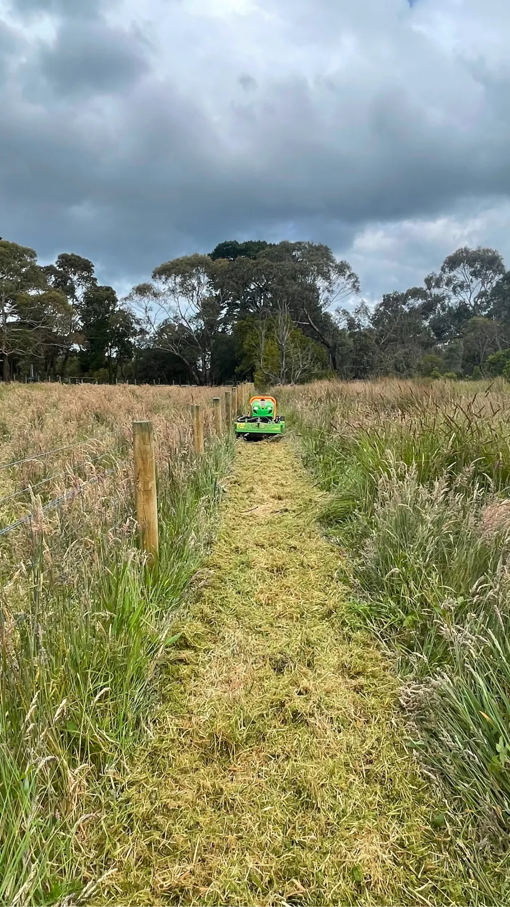 Trimming overgrown grass and shrubs near fencing