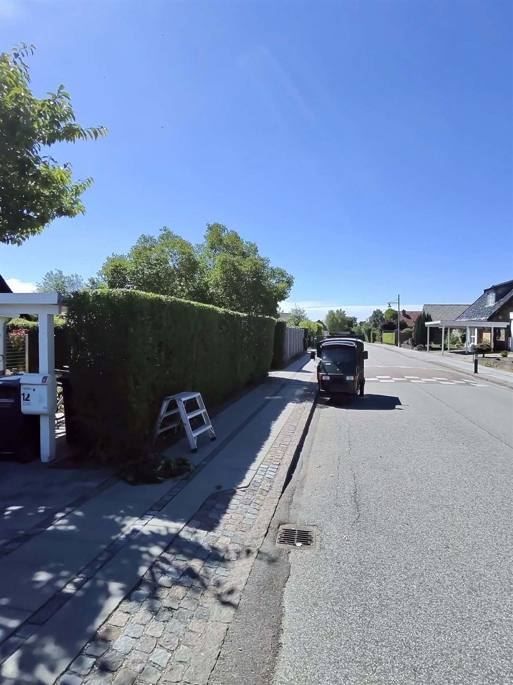 Hæk langs fortov