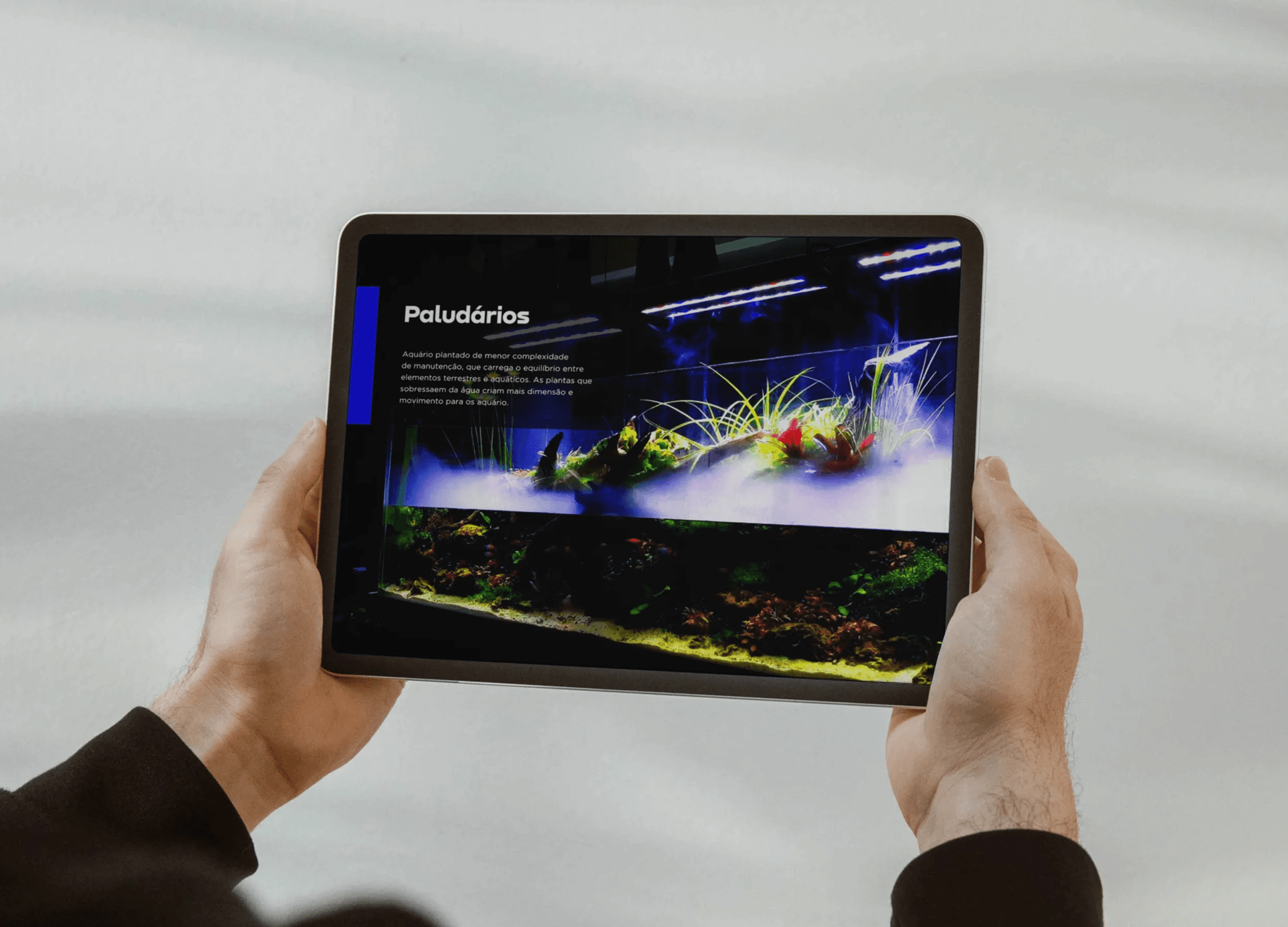 Large Project Gallery Image #1