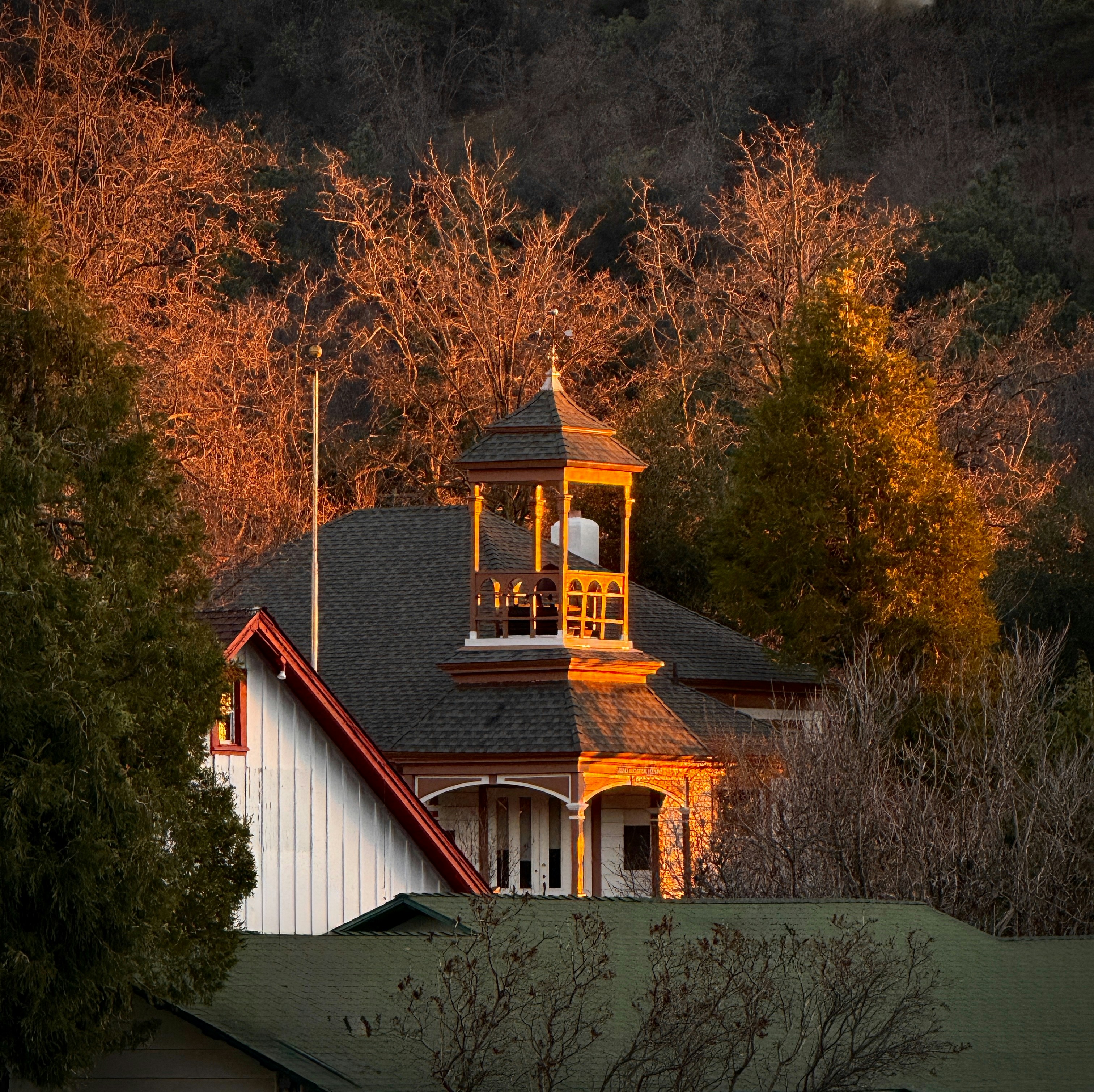 A charming house amidst autumn trees.