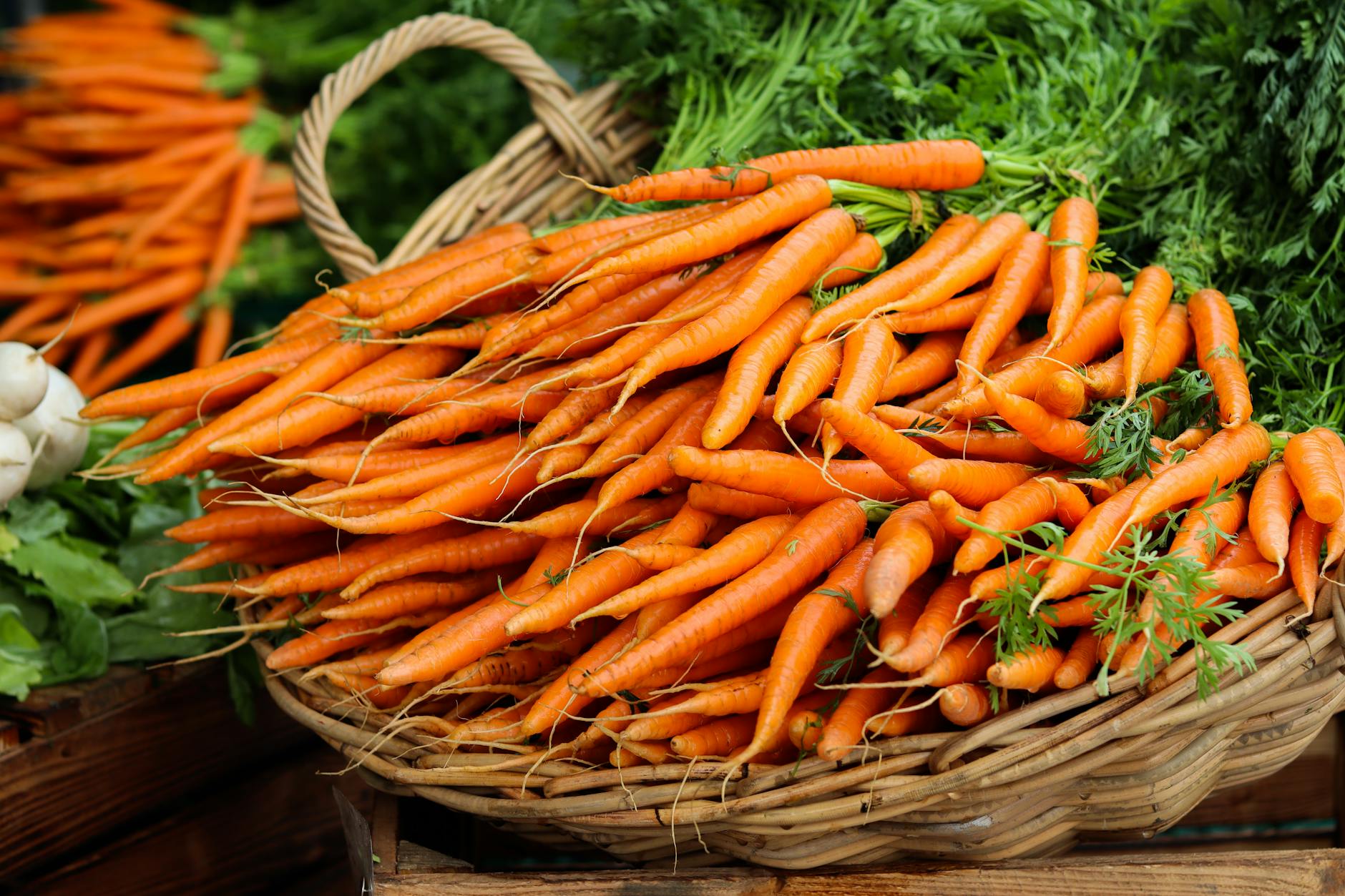 Fresh organic carrots rich in vitamin A displayed in a wicker basket
