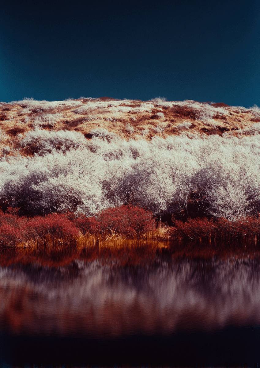 A blurry picture of a tree with a bench in front of it