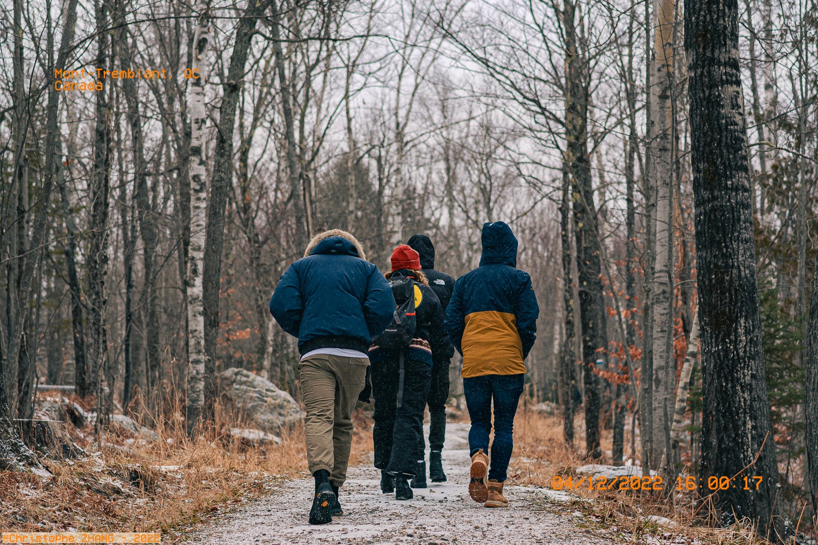 Groupe de randonneurs marchant dans une forêt hivernale à Mont-Tremblant.