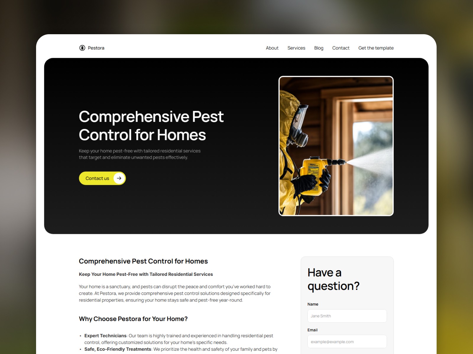 Pestora blog post page "Signs of a Pest Infestation"