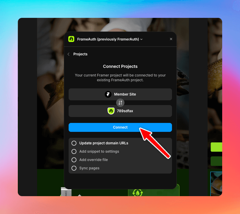 FramerAuth snippet missing