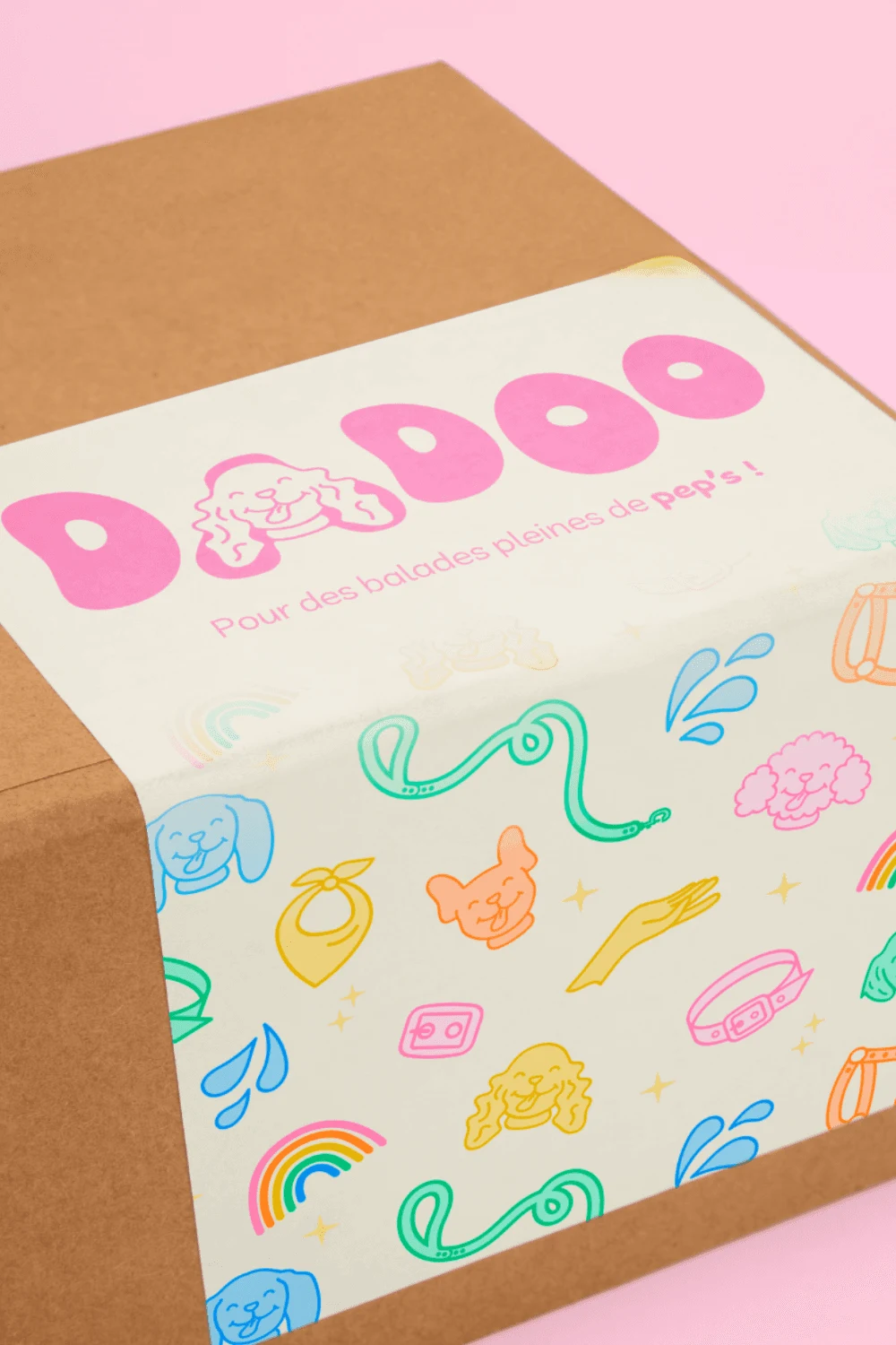 Identité visuelle Dadoo, marque artisanale d'accessoires canins colorés et personnalisés