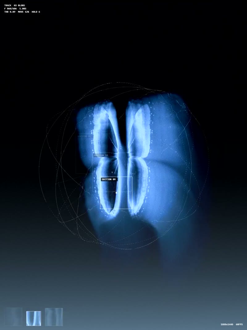 Sixfold Motion Graphics