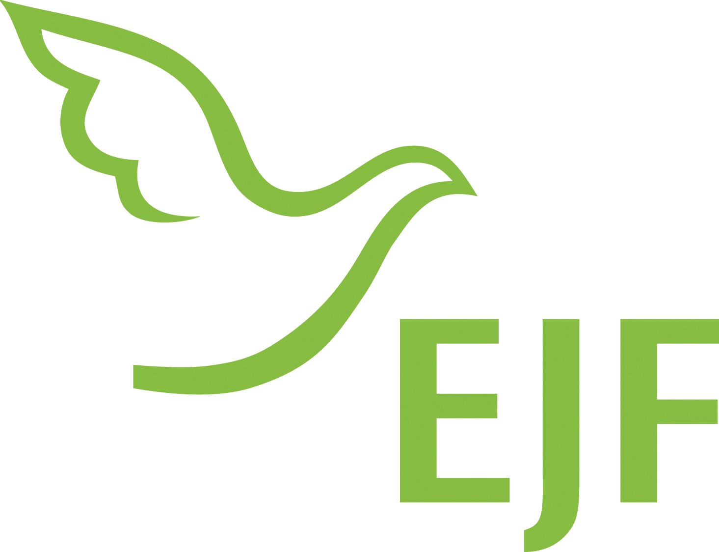 Logo der EJF gemeinnützige AG – Partner der DAG Unternehmensgruppe für Bildungsförderung.
