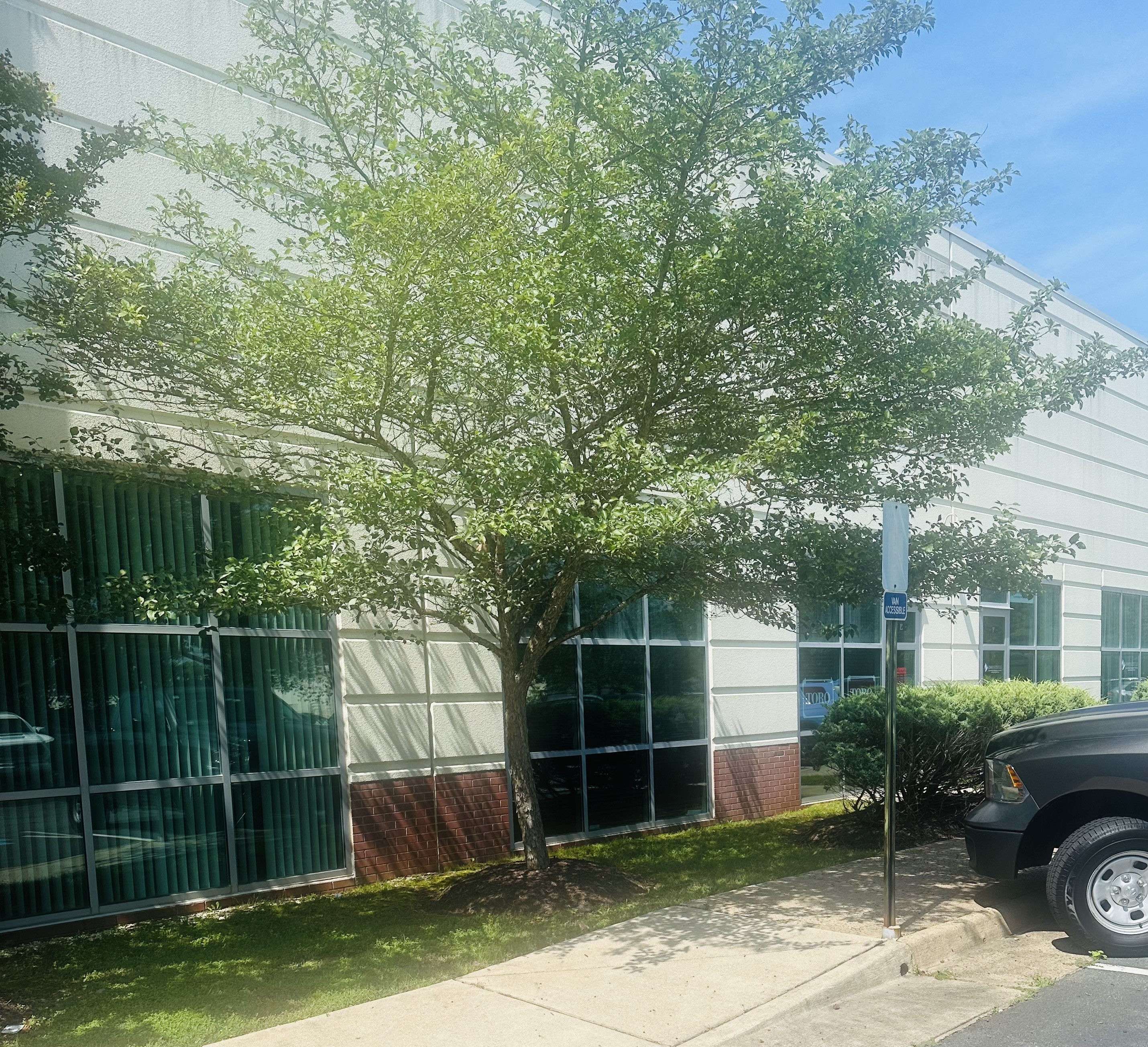 Image of downtown Warrenton, VA. Homeoffice of Downey & Scott