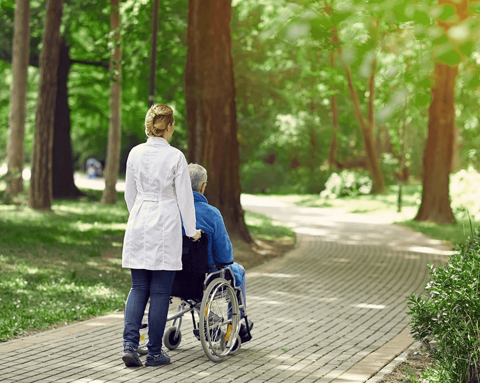 Medical professional pushing an elderly patient in a wheelchair outdoors, representing compassionate care and nursing home abuse advocacy