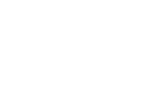 Cronimet Eisenlegierungen