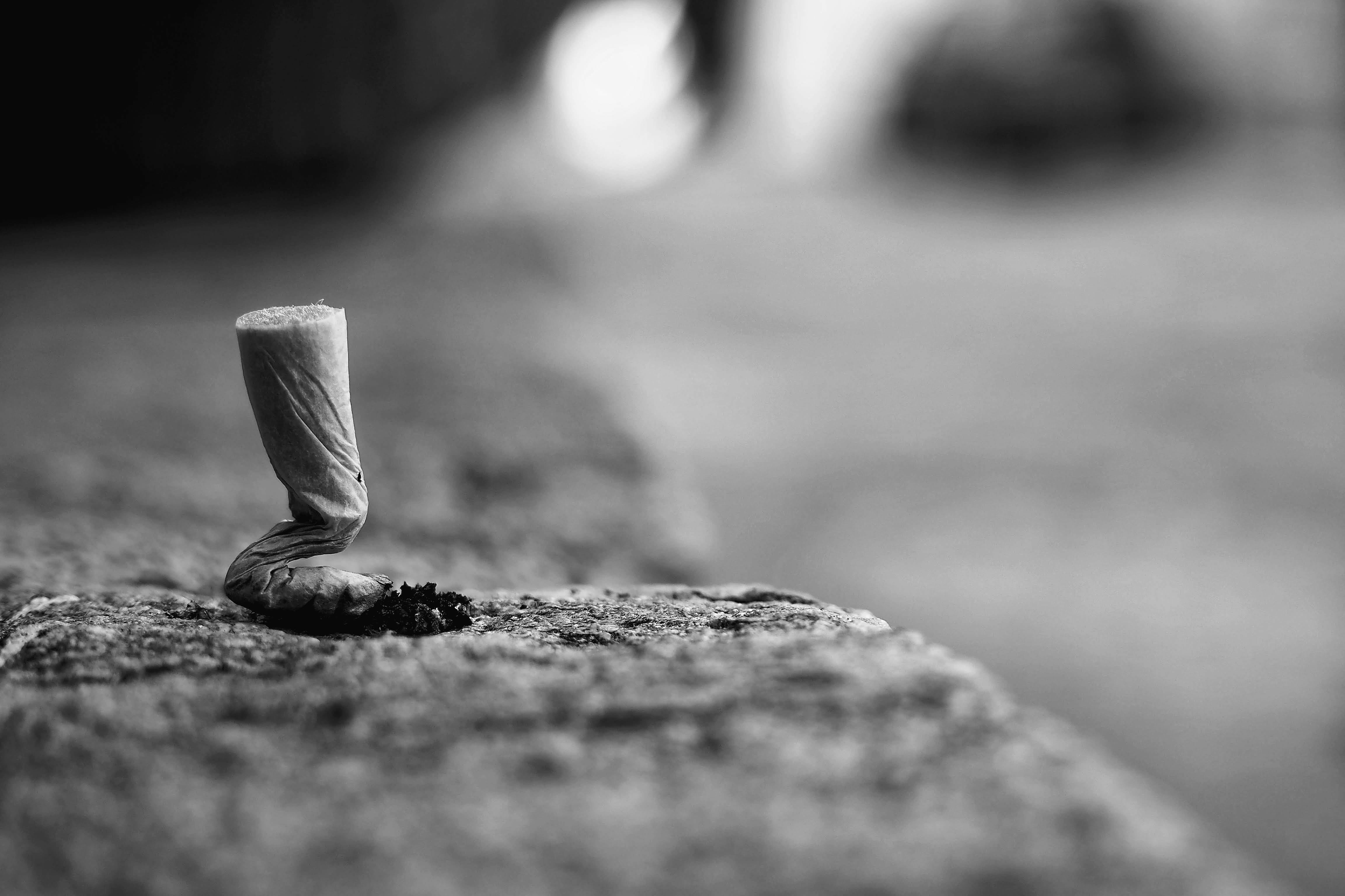 An image of a cigarette bud