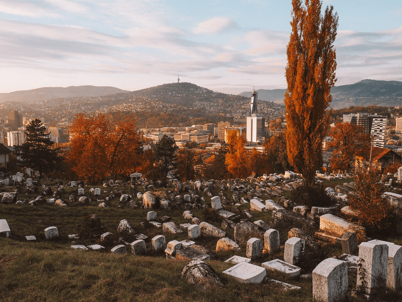 foggy mountain summit