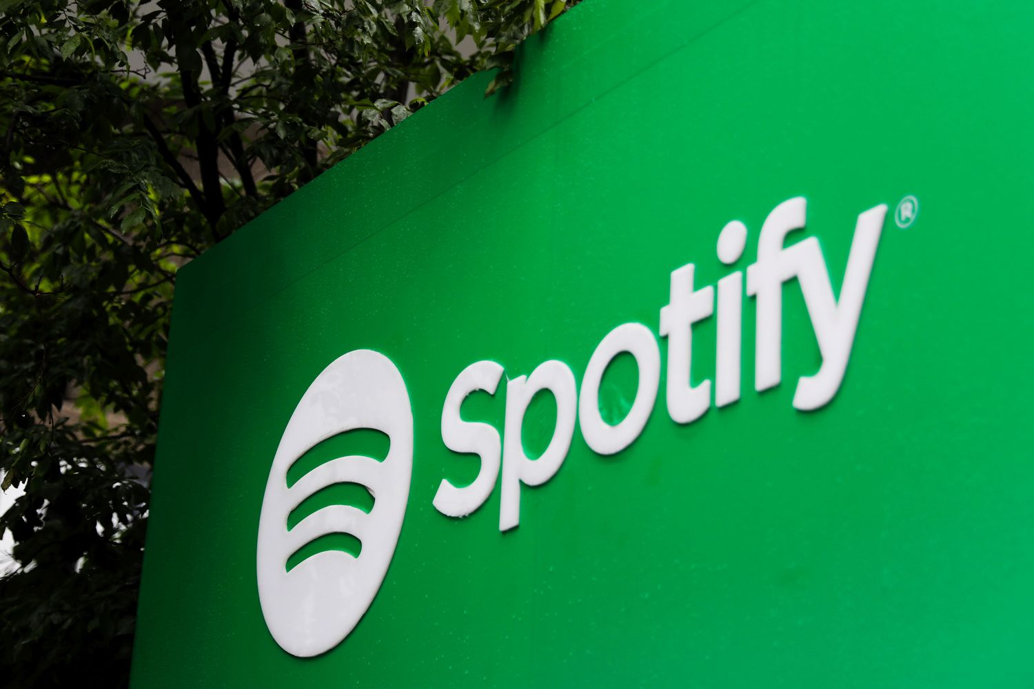 A white Spotify logo displayed prominently on a vibrant green Spotify-branded board, situated beneath a tree, creating a fresh and inviting outdoor atmosphere.