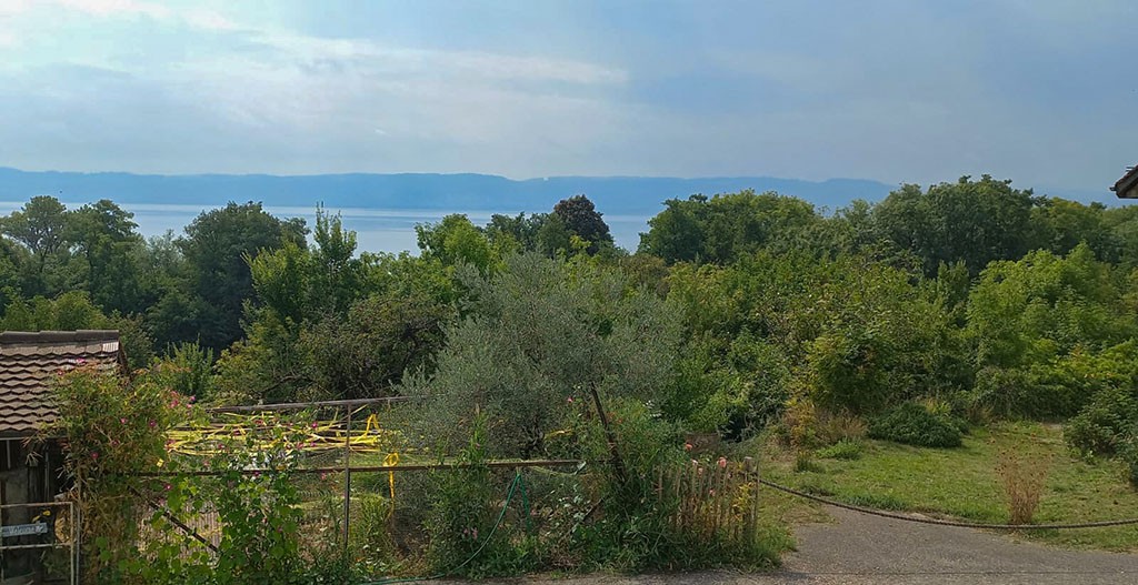 Espace chaleureux du Jardin de l’Être où Jeanne-Marie accueille ses clients.