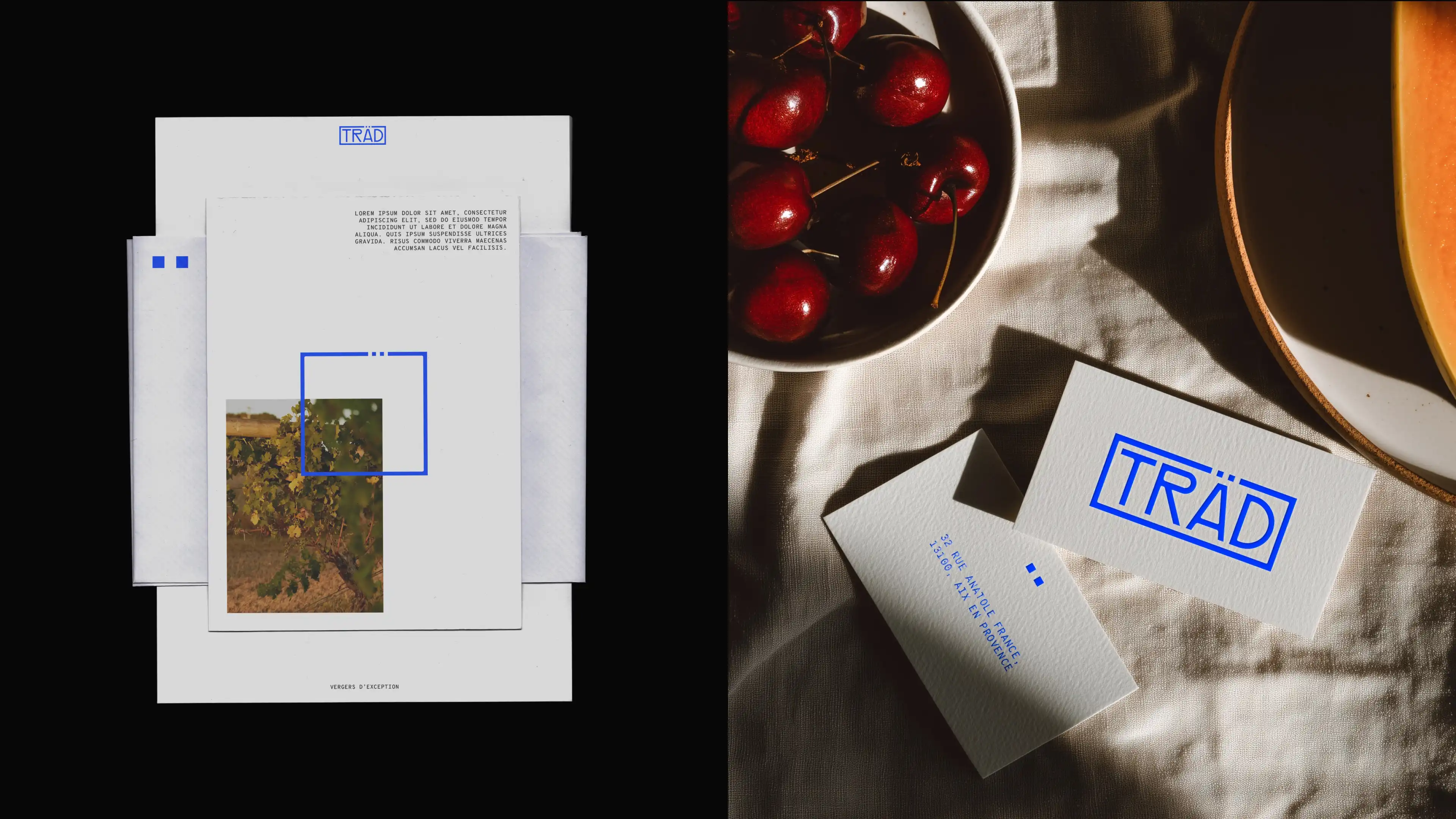 Female model seated gracefully, styled in elegant fashion with a calm, poised expression.