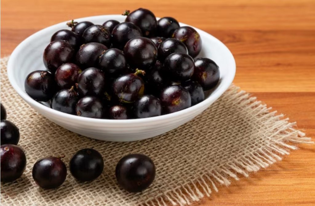 Jabuticaba - Um poderoso composto natural usado no suplemento Metabody
