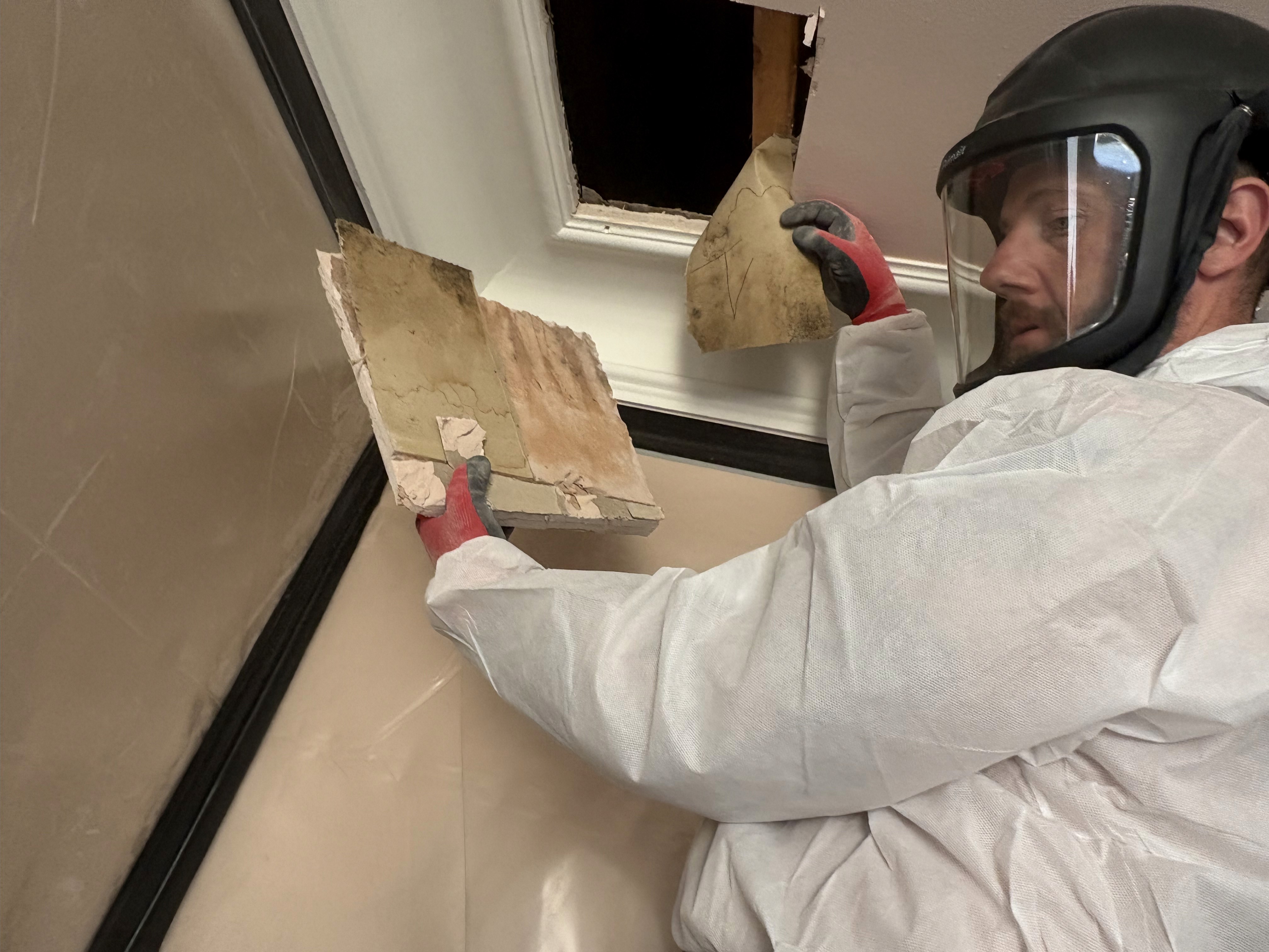 Mould remediation case study in Cuffley, Potters Bar