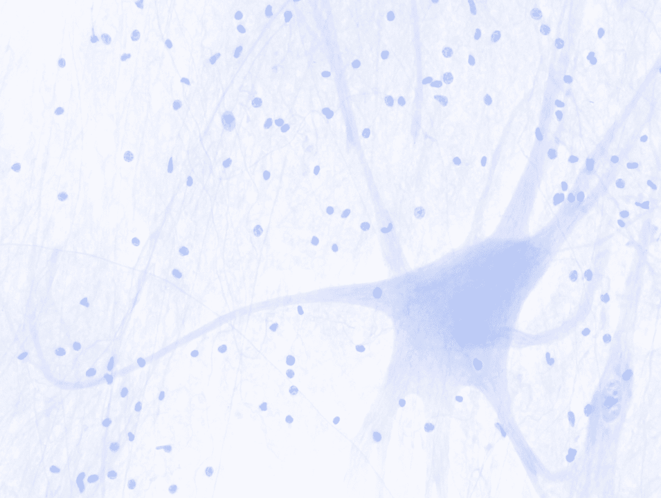 Close-up of a scientist holding a tray of petri dishes with purple cultures, wearing gloves and safety gear.