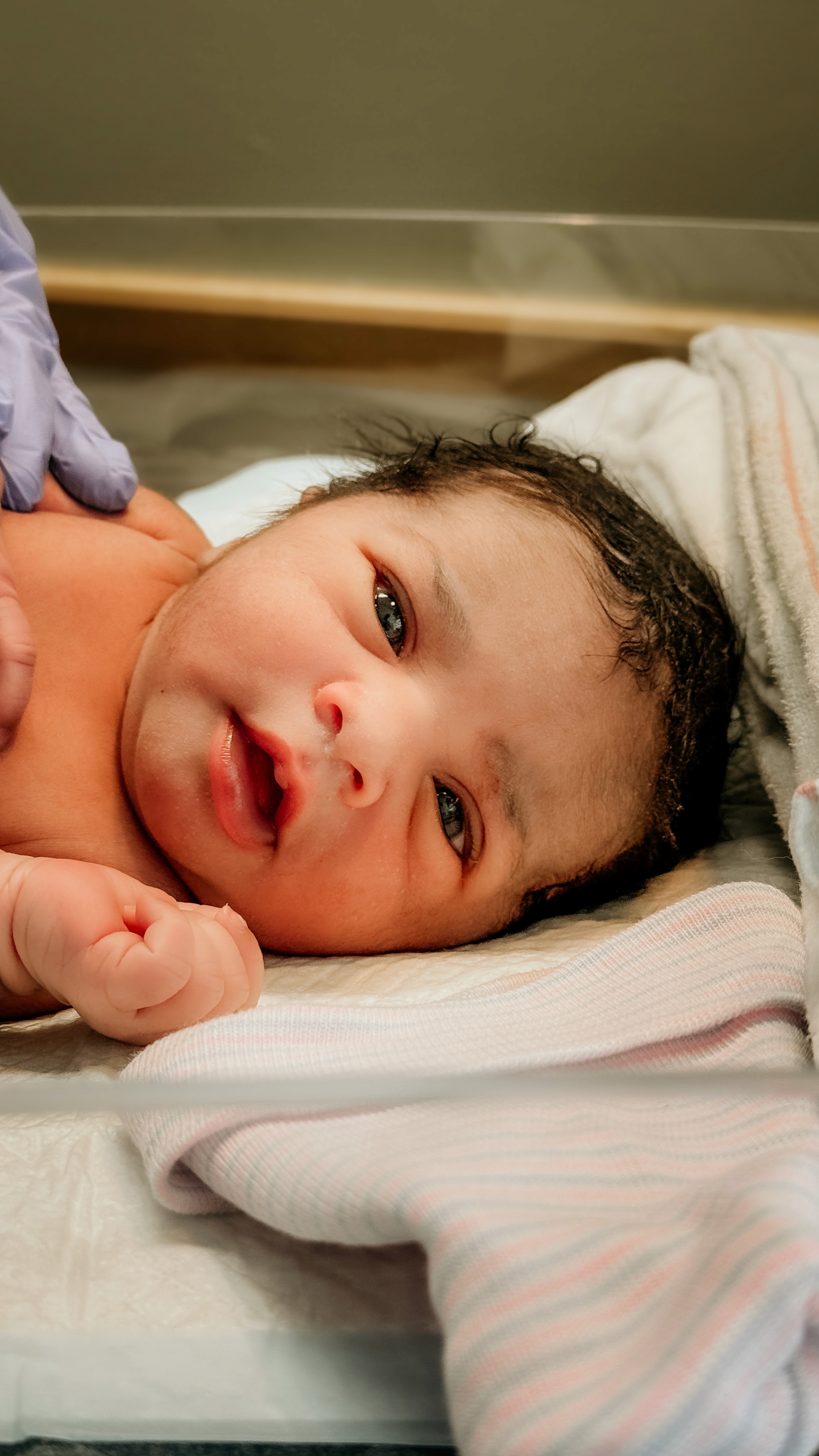 Project Gallery Image for 50% width of the screen #1