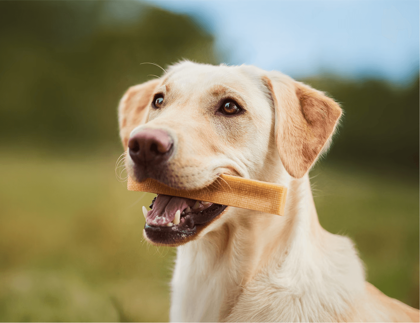 Modern home office setup with a monitor, ergonomic chair, keyboard, and indoor plants near a window with blinds.