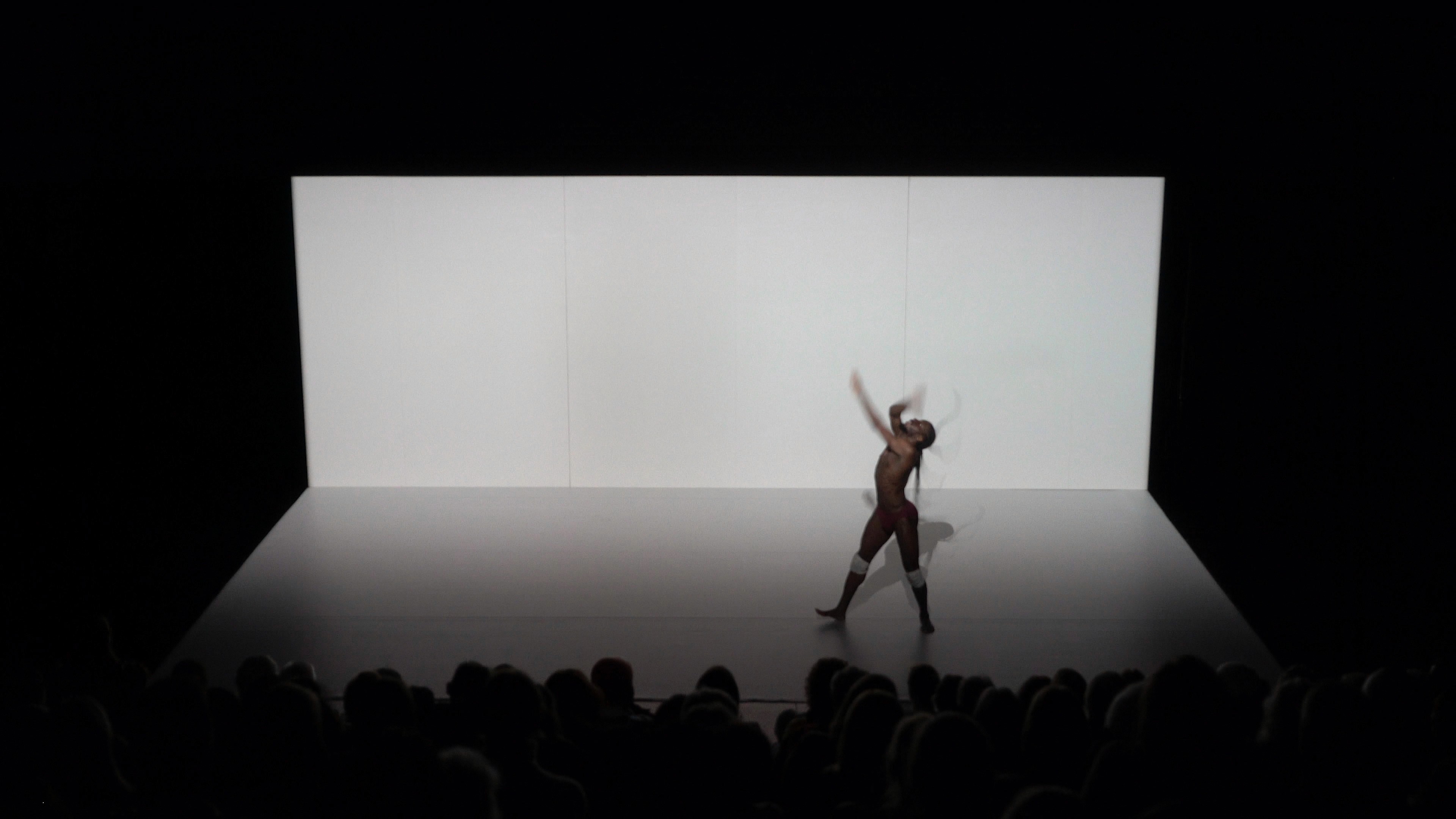 Spektrum - augmented performance installation
