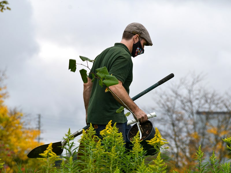Lawn Care & Maintenance
