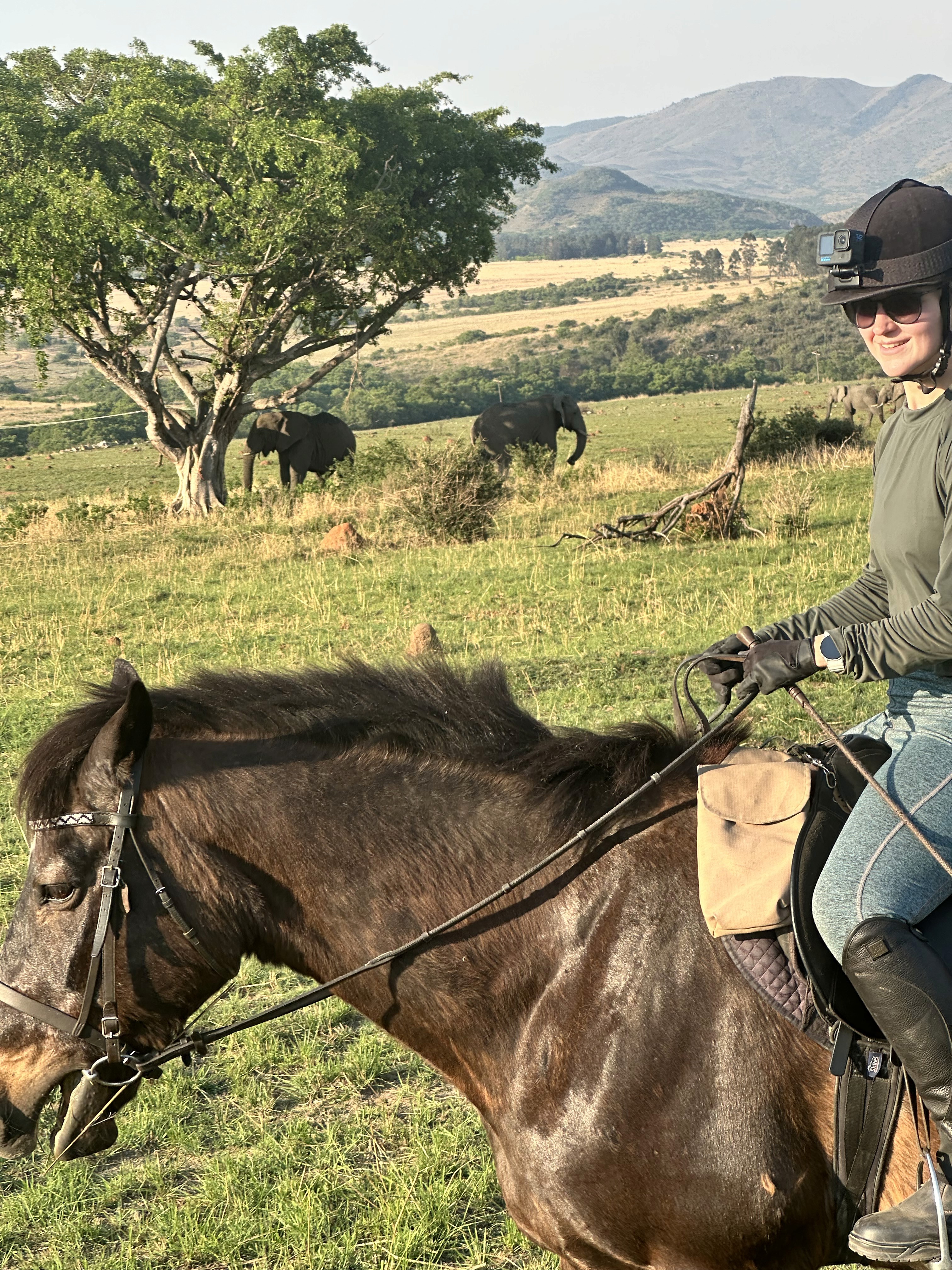 Kilimanjaro Elephant Ride, Arusha National Park, Tanzania – elefant i högt gräs tittar mot kameran, medan fem ryttare till häst på ridsafari i bakgrunden betraktar elefanten i ett grönt och frodigt landskap.
