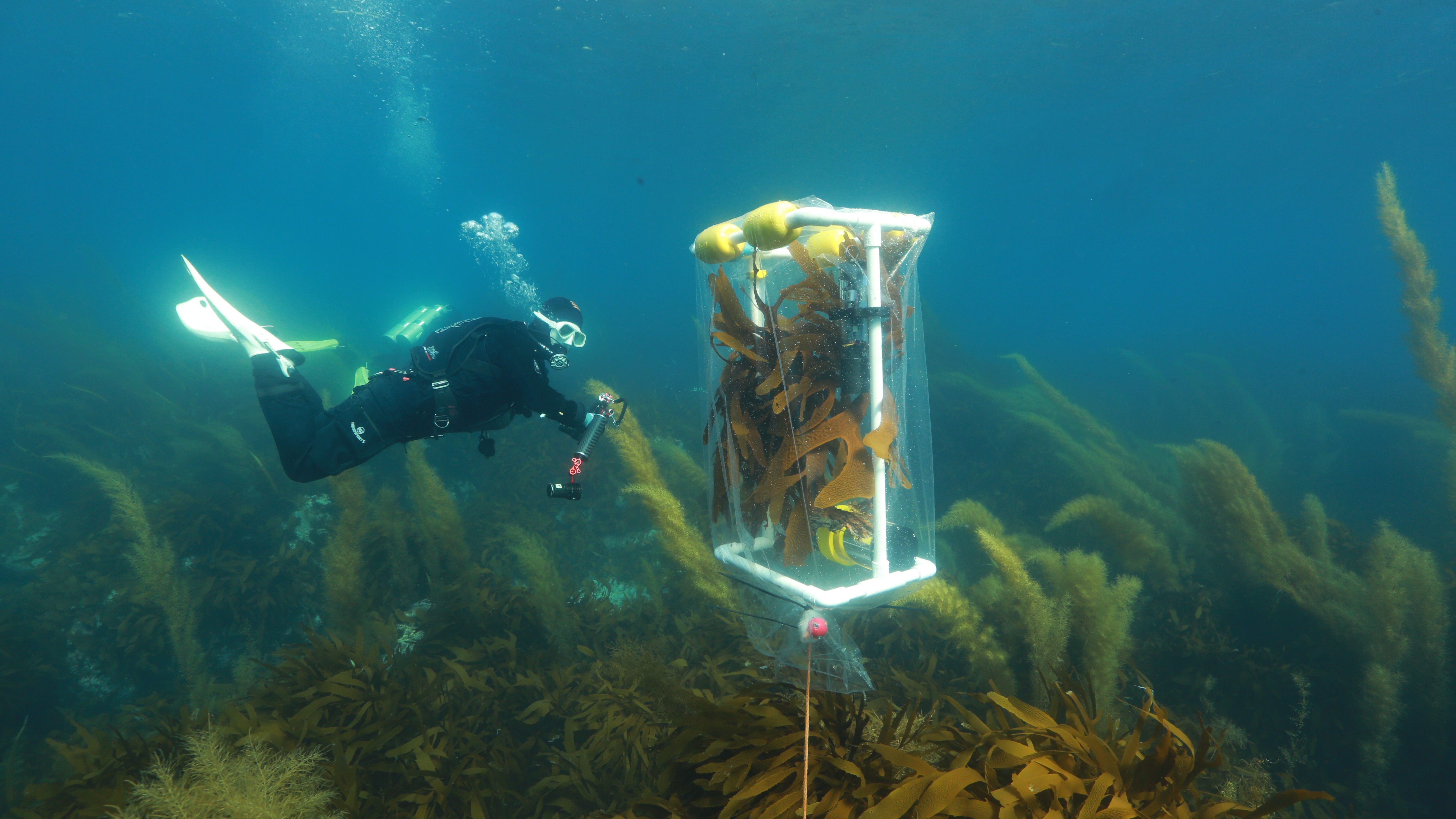 worker on laboratorium