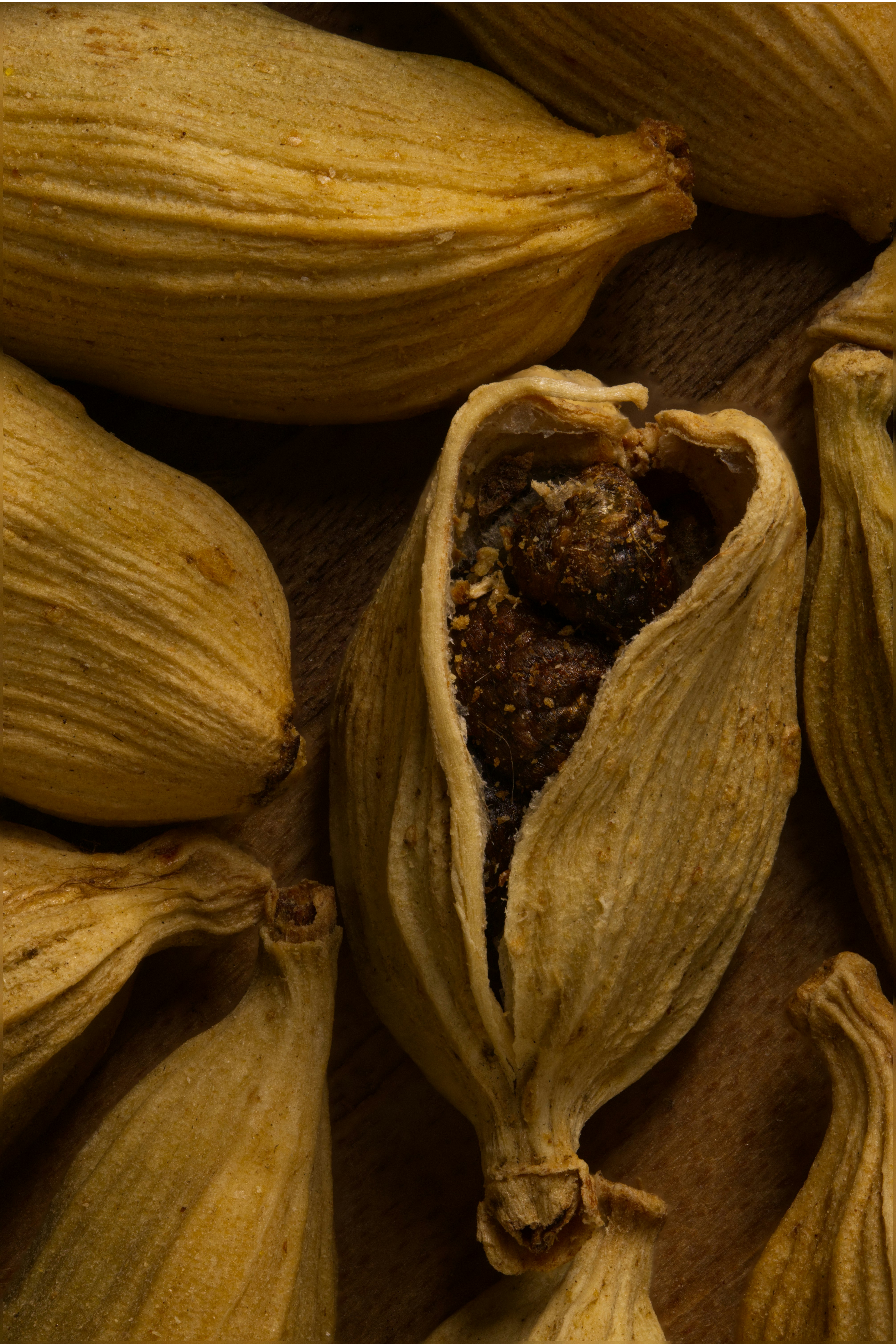 a close up of a bunch of cardamons