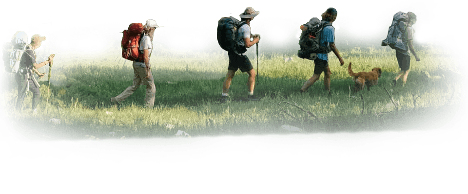 Image of a luxury home