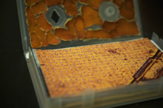 textured orange paper