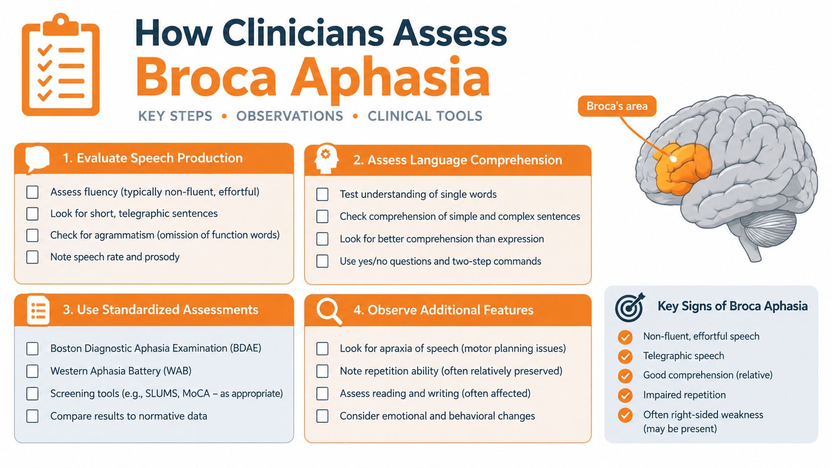 An infographic detailing the clinical steps to assess Broca aphasia, including evaluation methods and key symptoms.