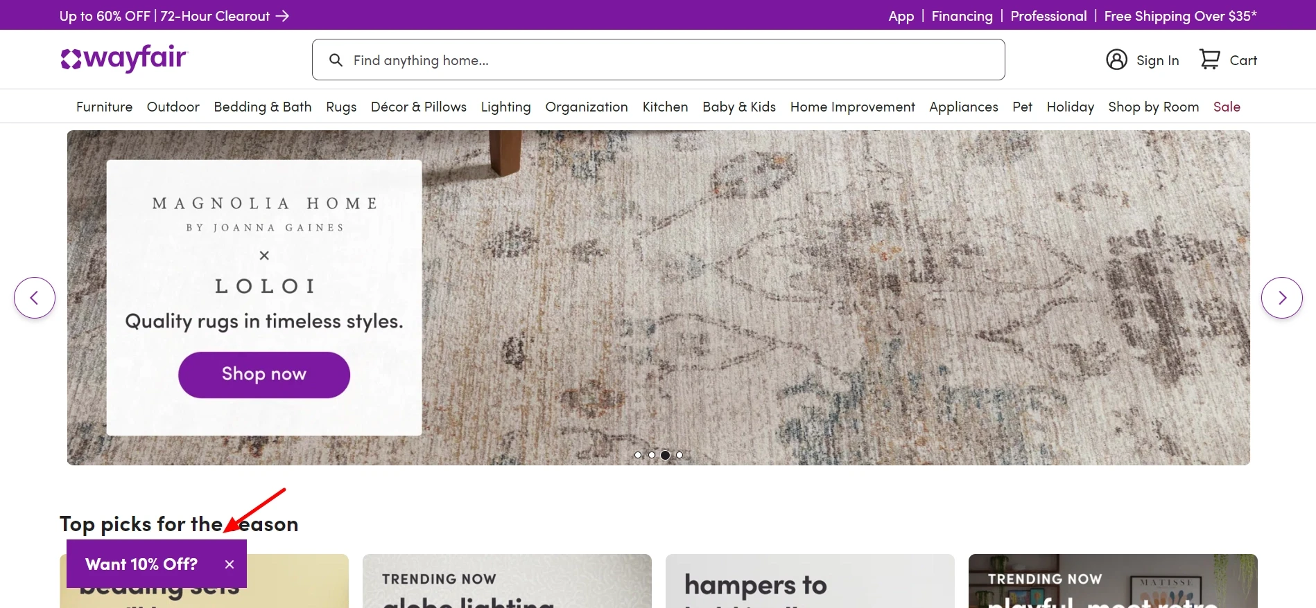 Wayfair Teaser example for the email popup